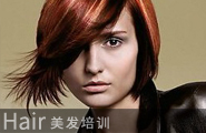 美發(fā)師課程